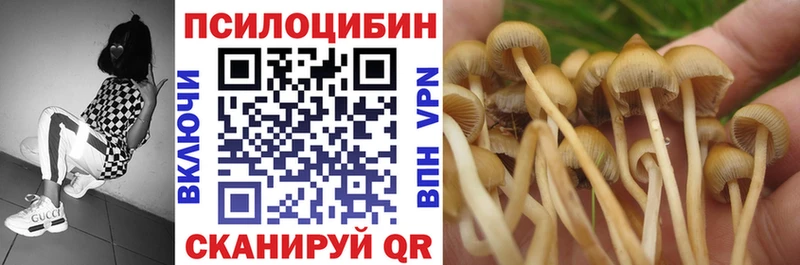 кракен зеркало  Разумное  Галлюциногенные грибы Psilocybine cubensis  что такое наркотик 