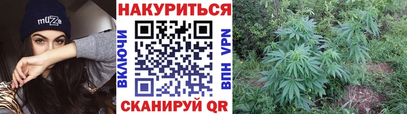 Каннабис семена  где купить наркоту  Разумное 